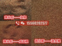 海藻籽篩分機，清選除雜效果好的機器